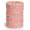 Pale Pink Stripe Paper Twine
