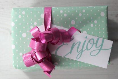 Mint Punkt Wrapping Paper with Cerise Metallic Ribbon and Tag