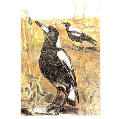 MAGPIES Card