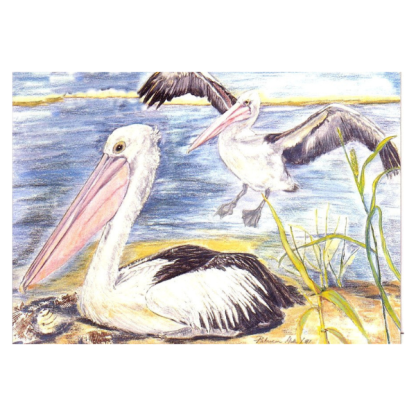 PELICANS Card