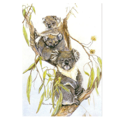 KOALAS VERTICAL Card