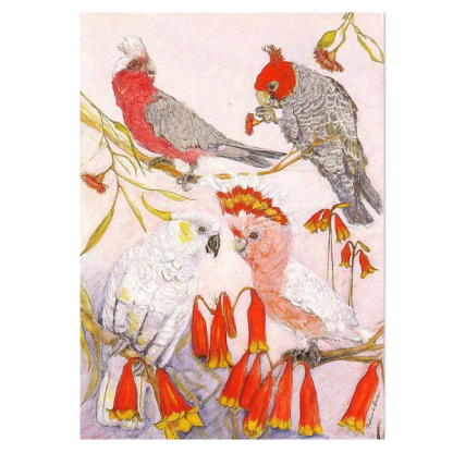 COCKATOOS and GALAHS Card