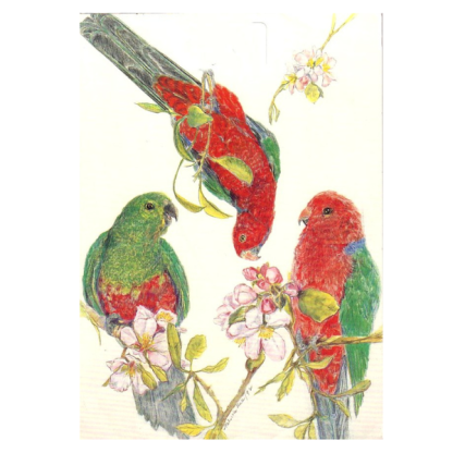 Card Parrots