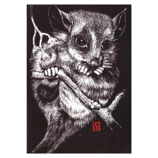 Card B+W Possum