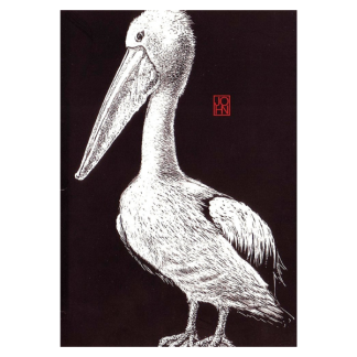 Card B+W Pelican