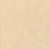 NEUTRAL PACK <br>Tissue Paper - Image 2
