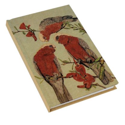 Kraft Note Book Galahs