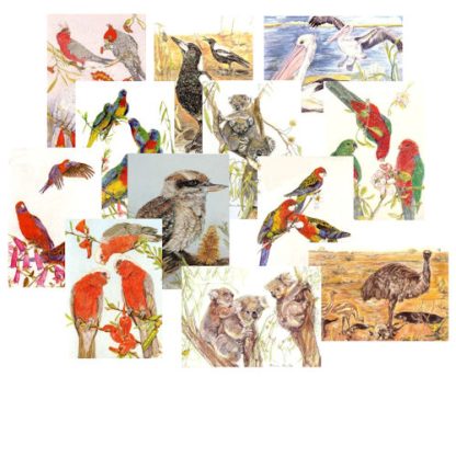 MIXED COLOURED FAUNA Cards