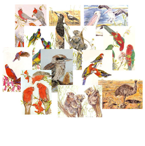 Card Mixed Colour Fauna