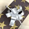 Silver Satin Pull Bow
