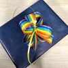Rainbow Satin Pull Bow
