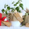 EVERYDAY CURSIVE MIX <br>Kraft Gift Tags 300pk - Image 8