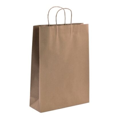 Large Kraft Paper Bag