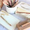 Pampas Stationery