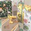 Mini Buddy Kraft + Matte Hippo + Rainforest Wrap