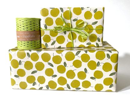 LIGHT GREEN <br>Paper Raffia - Image 3