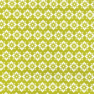 Daisy on Citrus Wrapping Paper